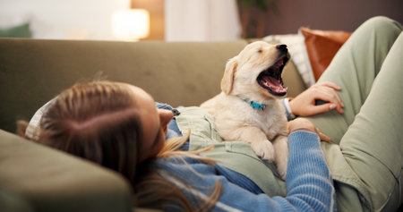 Woman, relax and playing with dog on sofa for puppy love, animal welfare or care in home. Female person, pet owner or labrador lying on couch with yawn for comfort, safety or security in houseの写真素材