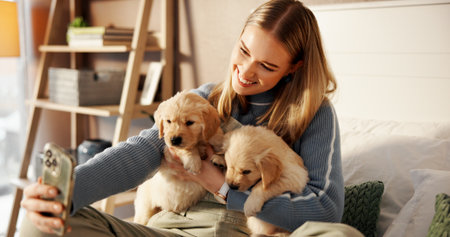Selfie, bed and smile with woman and puppies for social media post, pet influencer and love. Dog content creator, photography and golden retriever with person in home for animal care and trustの写真素材