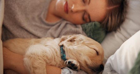 Puppy dog, sleeping and woman in home bedroom for rest, nap and relax with comfort of pet owner. Tired puppy, animal adoption and insurance with trust, security and dream on bed in apartmentの写真素材