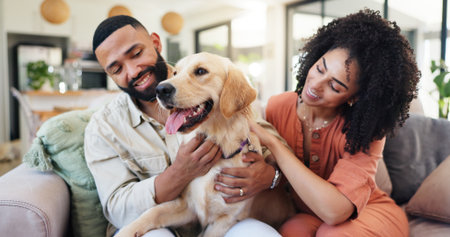 Couple, dog and happy on sofa, relax and bonding with care, connection or stroke in lounge. People, woman and man with pet, golden retriever or love with cuddle for trust in relationship at houseの写真素材
