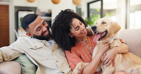 Couple, dog and happy on couch, hug and bonding with care, connection and stroke in living room. People, woman and man with pet, golden retriever or relax for cuddle on sofa in lounge at apartmentの写真素材