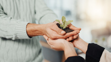 Hands, plants and business people with support in office for sustainability, charity or social responsibility. Teamwork, conservation and corporate employees with sprout in soil for collaboration.の写真素材