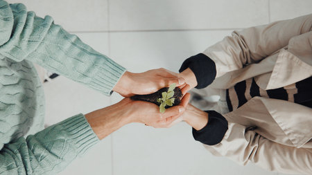 Above, seedling plant and business people in office, teamwork and eco friendly trade. Employees, cooperation or hands together with earth day, support or sprout with sustainability, charity or growthの写真素材