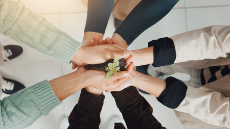 Above, seedling plant and business people in lobby, teamwork and eco friendly company. Employees, cooperation and hands together with earth day, support and climate change with green conservationの写真素材