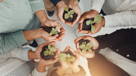 Hands, plants and business people in circle in office for sustainability, charity or social responsibility. Teamwork, conservation and employees with sprout in soil for collaboration from above.の写真素材