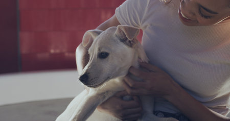Adoption center, happy and woman with dog for bonding, companion and comforting in kennel. Animal...