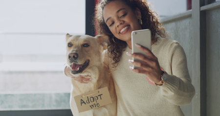 Selfie, adoption and dog with woman in shelter for social media, pet promotion and profile picture....