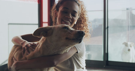 Adoption center, pets and woman with dog for bonding, companion and comforting in kennel. Animal...