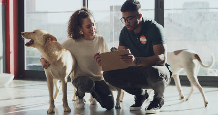 Rescue center, people and adoption of dog, attendant and man with clipboard for process or contract. Animal shelter, talk and explaining application form to woman, foster care or ownership of canineの写真素材