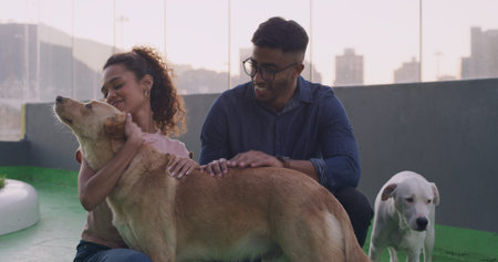 Adoption, cuddle and dog with happy couple at animal shelter together for humanitarian...
