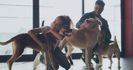 Hug, adoption center and couple with dogs for bonding, companion and care at sanctuary. Animal...