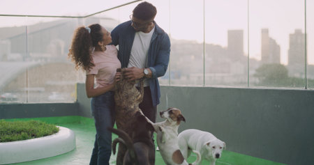 Adoption, dogs and energy with couple at animal shelter together for humanitarian responsibility. Charity, foster care and pet rescue with excited people at kennel to search for loyal companionの写真素材