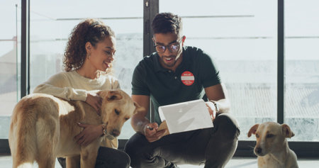 Animal shelter, people and volunteer with clipboard, adoption and ownership of dogs and application....