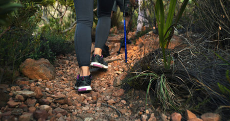 Trail, legs or person in nature for trekking journey, outdoor adventure or walking in footwear....