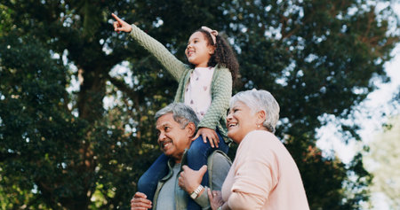 Bird watching, grandparents and girl with family, park and bonding together with love. Grandchild, old man and senior woman in forest, nature or hobby with view, pointing or outdoor with sightseeingの写真素材