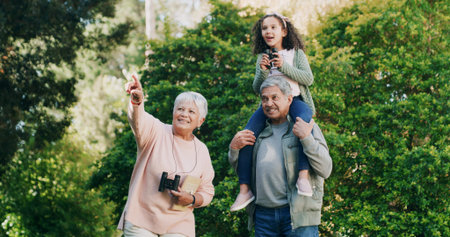 Bird watching, grandparents and girl with family, outdoor and bonding together with nature....