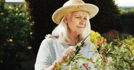 Gardening, scissor and senior woman plants for horticulture, sustainability and hobby. Gardener,...