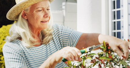 Gardening, scissor and senior woman outdoor with horticulture, sustainability and hobby. Gardener,...