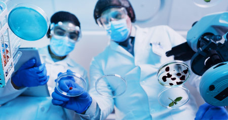 Below, people and scientist swab with petri dish in lab for testing sample, experiment and research....