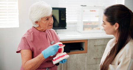 Women, dentist and mould for brushing teeth in clinic for demonstration, technique and hygiene tips....