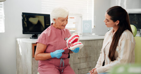 Woman, mature dentist and mould for brushing teeth in clinic for demonstration, technique and...
