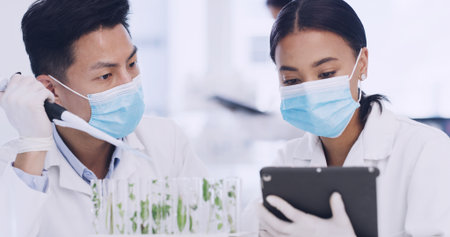 Team, scientist and tablet in lab for plant research, medical development or gmo experiment. Science technology, botany and people with PPE for growth study, ecology or test tube with pipetteの写真素材