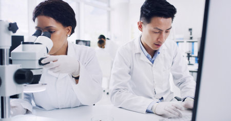 Medical, typing or people in lab with microscope, teamwork or examination for vaccine development. Support, tech or scientist in clinic with equipment, analysis or results in pharmaceutical study.の写真素材