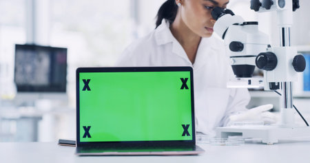 Woman, scientist and microscope with green screen on laptop for research, medical study and sample....