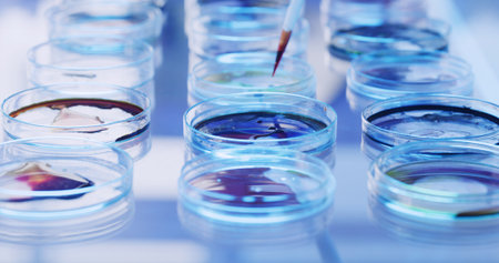 Petri dish, colorful samples and science with medical research, biology and virus with chemistry. Empty, investigation or test for bacteria cells in lab, cure and experiment with results or vaccineの写真素材