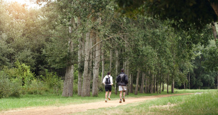 Running, nature and back of couple for fitness, exercise and cardio workout together in morning. Forest, hiking trail and man with woman training for wellness, health and challenge outdoor for hobbyの写真素材