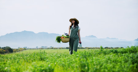 Countryside, harvest and woman with carrots, walking and natural vegetables for sustainable business. Outdoor, person and fresh produce in farm, gardening and food growth for agriculture and spaceの写真素材