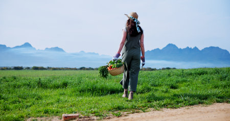 Walking, farmer and woman with carrots in countryside, outdoor and produce for sustainable business. Agriculture, space and person with vegetables in farm, back and food growth, harvest or fresh airの写真素材