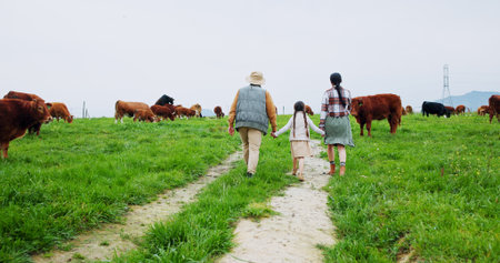 Farm, cows and back of parents with child in field for bonding, sustainability and agriculture. Family, countryside and mom, dad and girl holding hands for walking, cattle production and environmentの写真素材