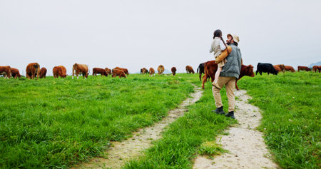Farm, cows and back of dad with child in field for bonding, sustainability and agriculture. Family, countryside and father with girl outdoor for support with cattle production, growth and environmentの写真素材