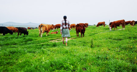 Back, woman or walking on farm with cows for livestock, meat production or sustainable dairy business. Farmer, female person and journey in field for grass fed cattle, animals or organic agriculture.の写真素材