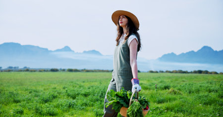 Thinking, farmer and woman with spinach in farm, harvest or natural produce for sustainable business. Outdoor, person and vegetables in countryside, walking and growth for agriculture and spaceの写真素材