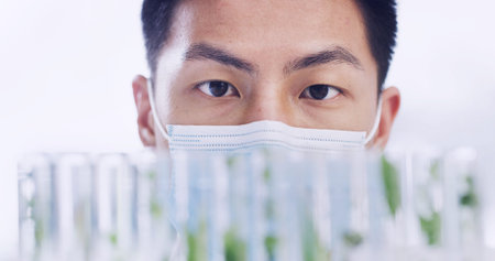 Science, laboratory and man with plants in test tube for research, medical study and medicine development. Healthcare, biology and scientist with sample for vaccine, discovery and growth experimentの写真素材