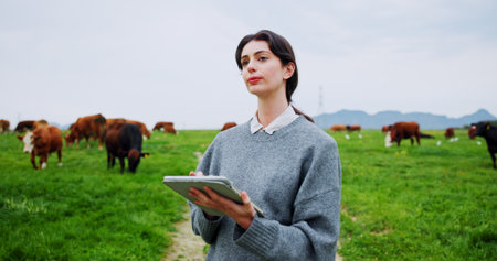 Woman, tablet and thinking with farming, cows or checklist for livestock management with space. Person, farmer and cattle with app, review and agriculture with food production stats in countrysideの写真素材