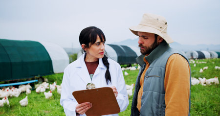 Clipboard, vet and discussion with man on chicken farm for flock health, monitor growth or biosecurity. Poultry industry, doctor and farmer with medical checkup for egg production and agribusinessの写真素材