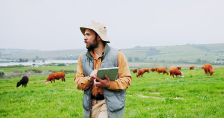 Agriculture, planning and tablet with man on farm for research, strategy or sustainability. App, poultry and thinking with farmer person outdoor on grass field for management of livestockの写真素材