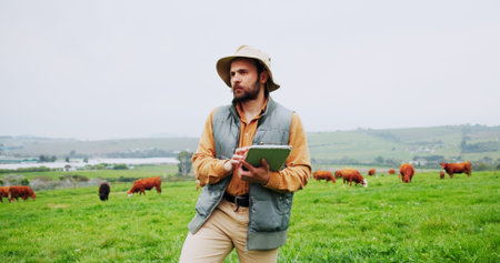Man, tablet and scroll for farming, cows or checklist for livestock management with space. Person,...