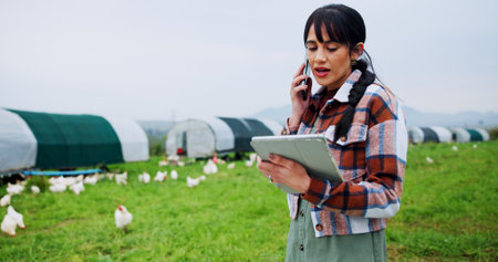 Chicken, phone call and tablet with woman on farm for planning, strategy or sustainability. App, conversation and research with farmer person outdoor on grass field for management of livestockの写真素材