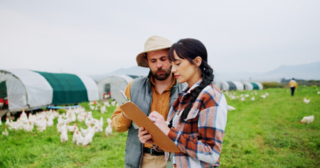 Agriculture, people or talking with clipboard on chicken farm for flock health, quality control or inspection. Poultry, farmer and team with checklist for egg production, planning or livestock updateの写真素材