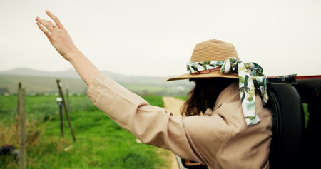 Back, woman and window of car for road trip with fresh air, travel and adventure freedom. Female person, vehicle and breeze with sensory experience, fun journey and explore nature for safari holidayの写真素材