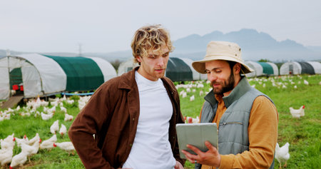 Agriculture, men or talking with tablet on chicken farm for flock health, monitor growth or inspection. Poultry industry, farmer or team with app for egg production, agro job or livestock updateの写真素材