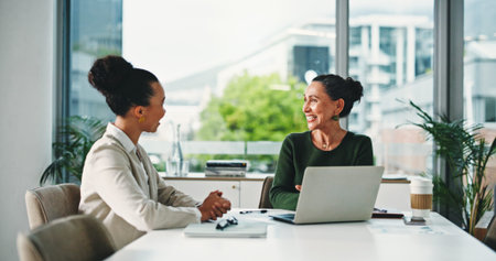 Boardroom, meeting and women with laptop, happy and collaboration for funding opportunity and...