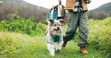 Dog, leash and legs in nature with walk, animal care or bonding together in outdoor activity. Pet owner, space and people in forest with energy, connection and stroll with puppy companion.の写真素材
