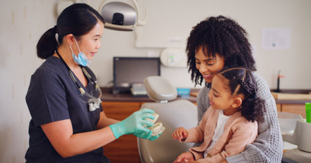 Child, dentist and tooth model for consultation with discussion, oral hygiene and mouth cleaning service. Mother, health professional and orthodontic inspection for dental care with girl for checkupの写真素材