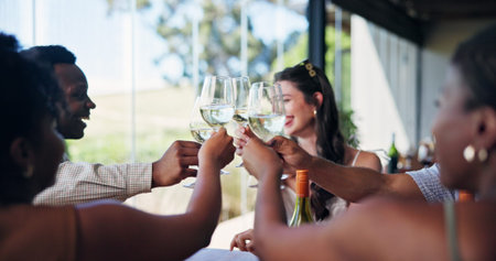 Friends, smile and cheers in restaurant with wine for social gathering, milestone and bonding...