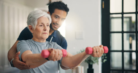 Physiotherapist, senior woman and dumbbells for exercise, muscle recovery or rehabilitation....